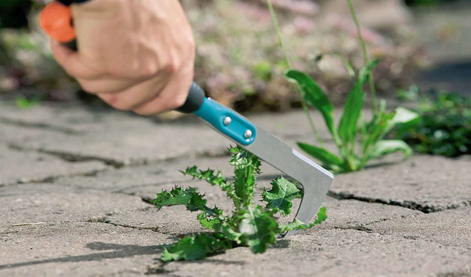 Shop for the right tool to remove weeds between pavers and keep your walkways or patio pristine and looking gorgeous with minimal effort.