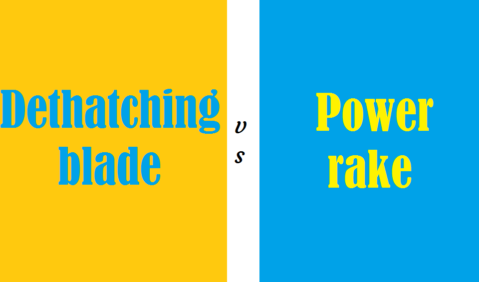 Dethatching blade vs power rake